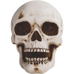 Grinning Skull Statue