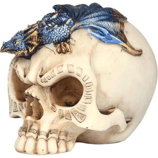 Blue Dragon on Skull Statue