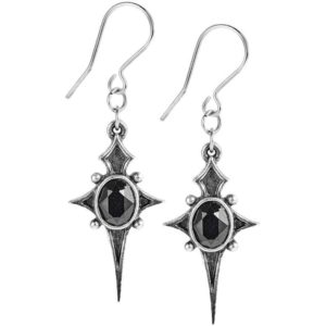 Sterne Leben Earrings