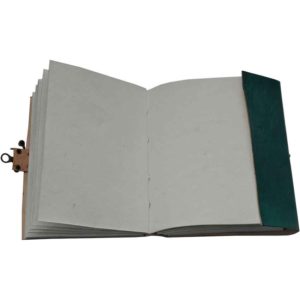 Green Pentagram Journal with Lock
