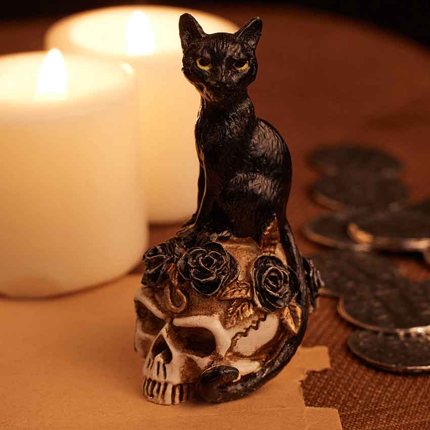 Forever Friend Black Cat Skull Head 14.5cm main image 0