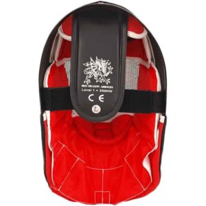 HEMA Fencing Mask