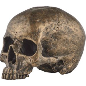 Antiqued Golden Skull
