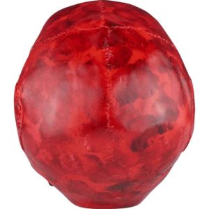 Blood Red Vampire Skull