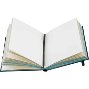 Embossed Frost Moon Fairy Journal