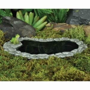 Fairy Garden Pollywog Pond