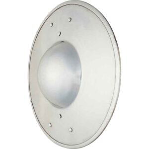 Dordrecht Steel Buckler