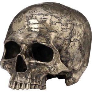 Craniumography Skull Map Statue