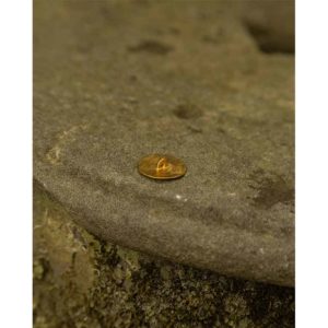 Sun Disk Button