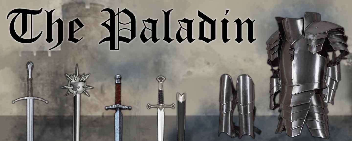 Dressing as a Dungeons and Dragons Paladin Dressing as a Dungeons and Dragons Paladin