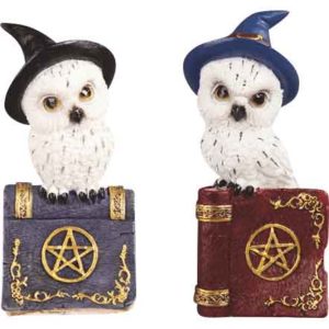 Magic Owl on Book Statue Set