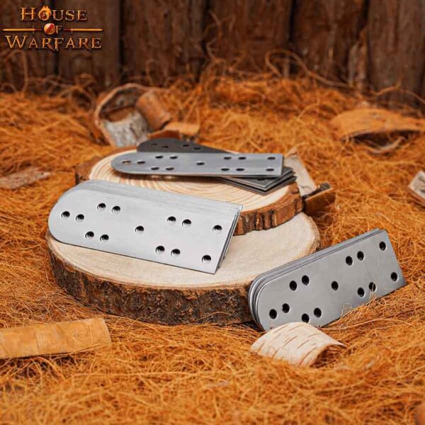 Steel Lamellar Scales - Type 2 - Set of 50