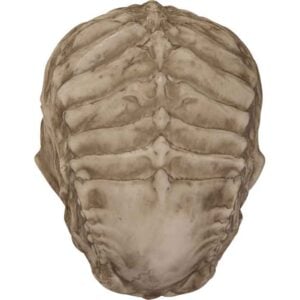 Cthulhu Head Skull Statue