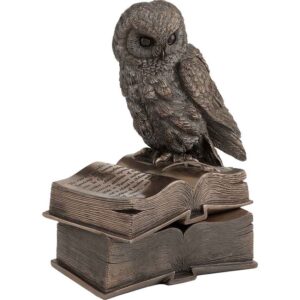 Perched Owl on Books Trinket Box