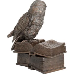 Perched Owl on Books Trinket Box