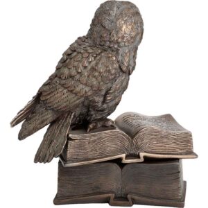 Perched Owl on Books Trinket Box