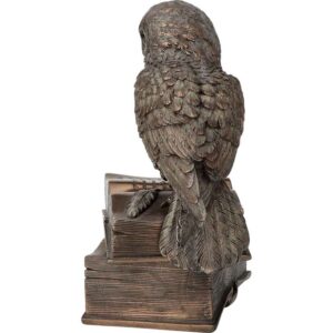 Perched Owl on Books Trinket Box