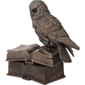 Perched Owl on Books Trinket Box