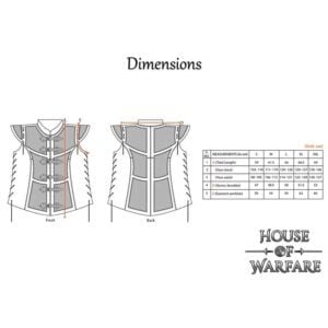 Tyr Viking Leather Brigandine - Brown