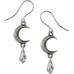 Crescent Moon Earrings - Crystal