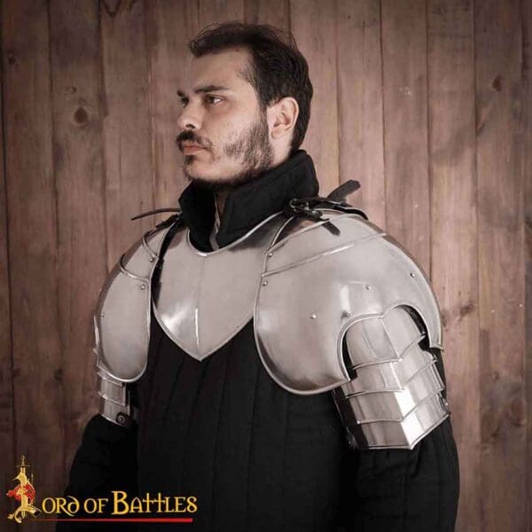 Knight Guardian Steel Pauldrons