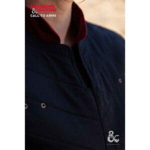 Dungeons & Dragons Fighter Vest