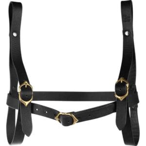 Dungeons & Dragons Wizard Book Holder