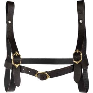 Dungeons & Dragons Wizard Book Holder