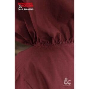 Dungeons & Dragons Paladin Hooded Tunic