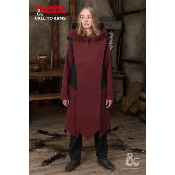 Dungeons & Dragons Paladin Tabard