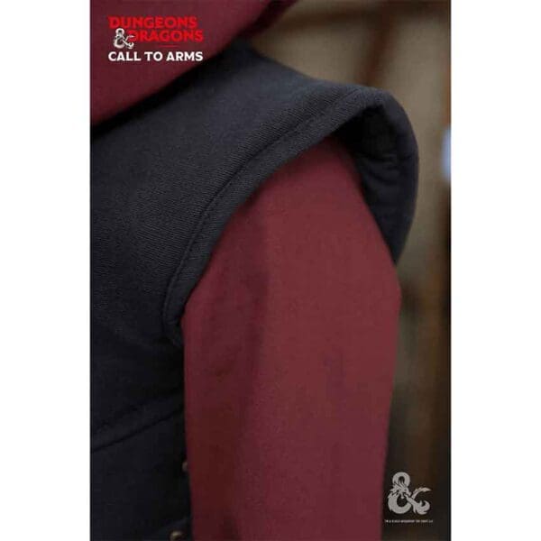 Dungeons & Dragons Paladin Vest