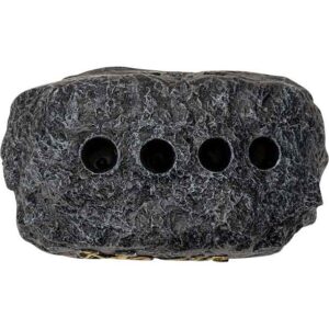 Magic Wand Display Rock