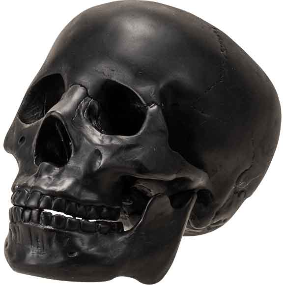 Moveable Black Skull Statue