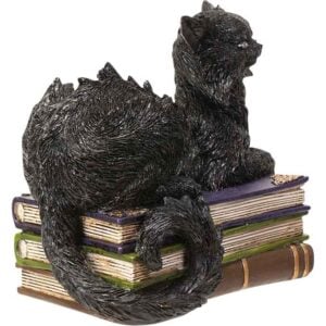 LED Wicked Black Cat on Books Statue
