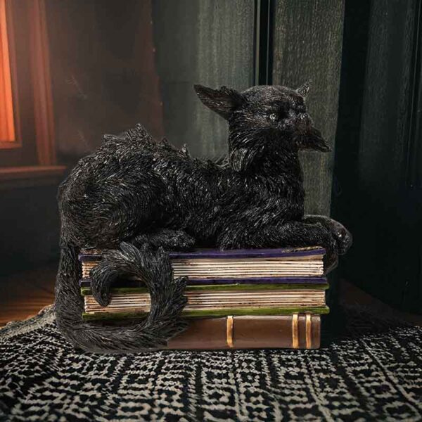 LED Wicked Black Cat on Books Statue