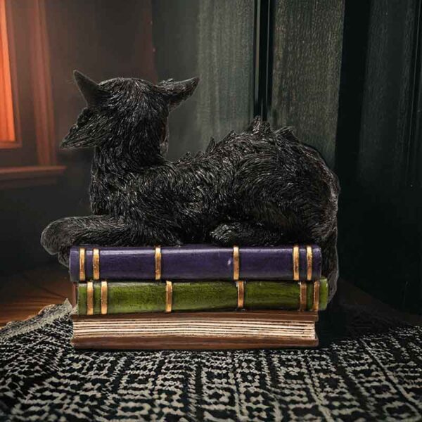 LED Wicked Black Cat on Books Statue