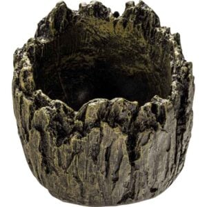 Tree Skull Planter