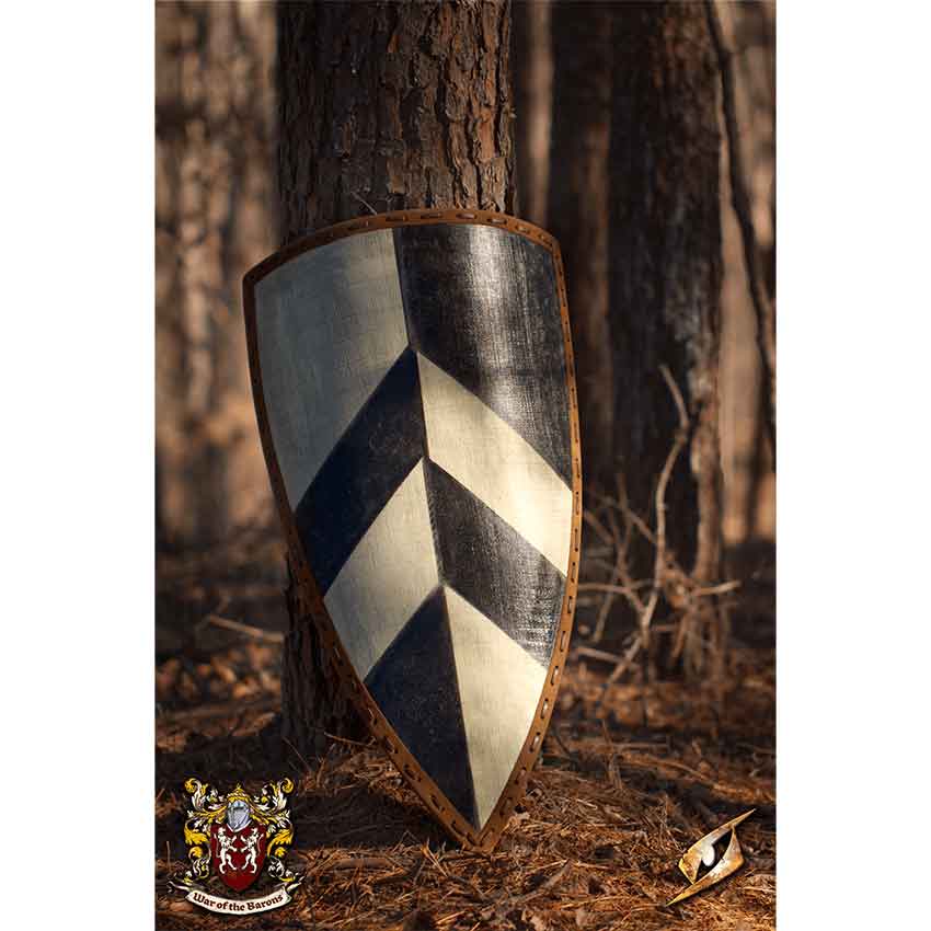 Baron's LARP Shield