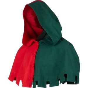 Two Color Medieval Hood