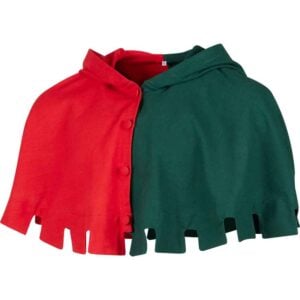 Two Color Medieval Hood