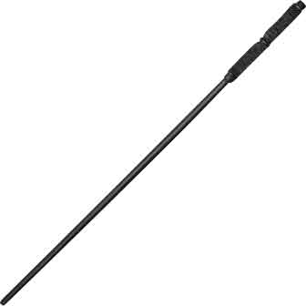 Dark Professor's Wand