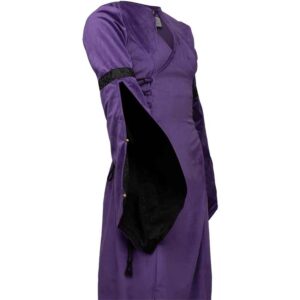 Antaris Velvet Dress