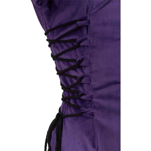 Antaris Velvet Dress