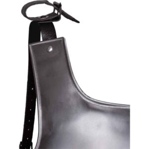 Steel Nova Cuirass