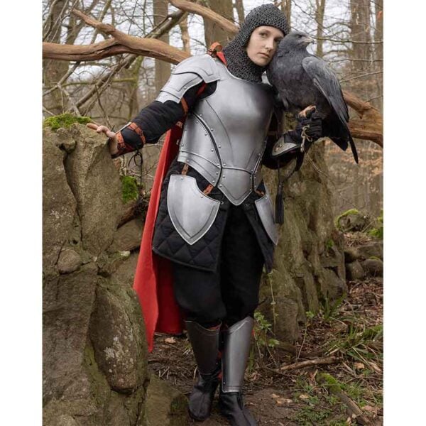 Steel Nova Greaves