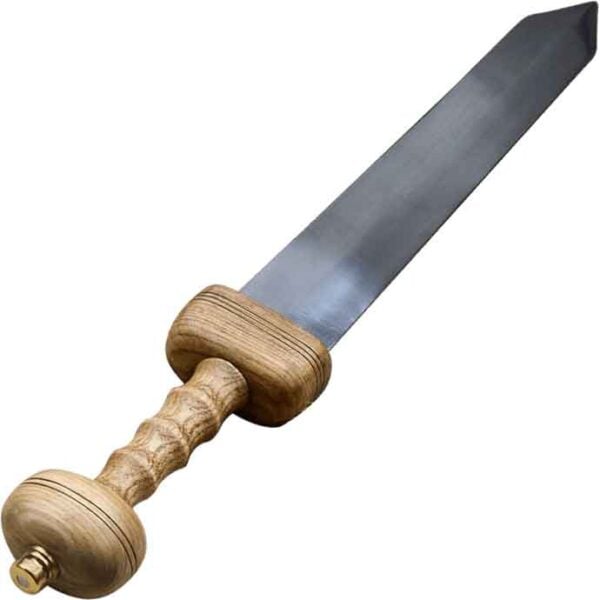 Pompeii Gladius with Scabbard