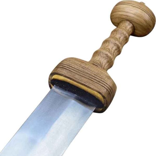 Pompeii Gladius with Scabbard