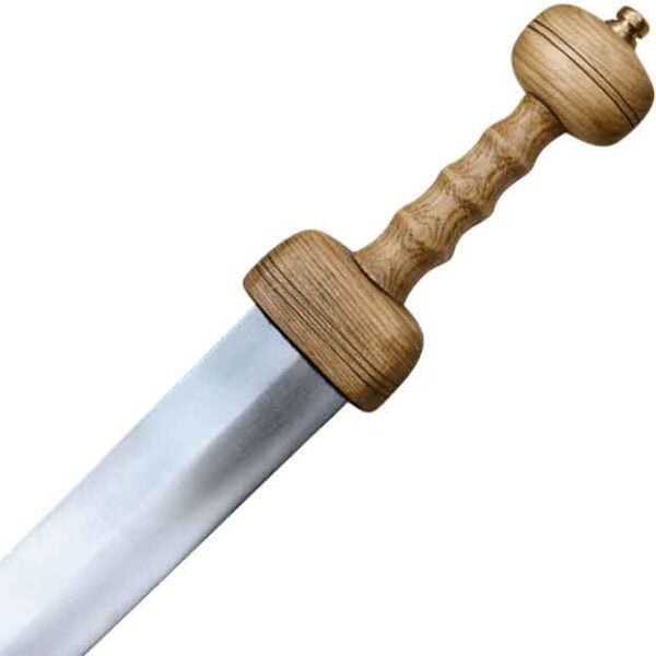 Pompeii Gladius with Scabbard