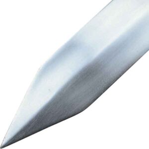 Pompeii Gladius with Scabbard