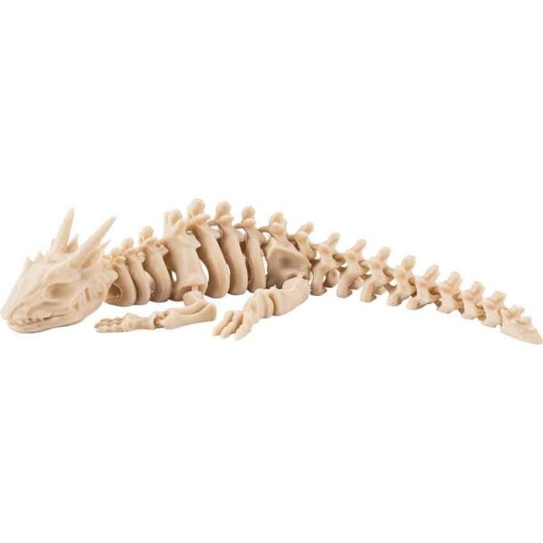 Small Articulated Dragon Skeleton